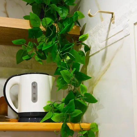 Apartmán Domus Zeus *