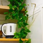 Apartment Domus Zeus *